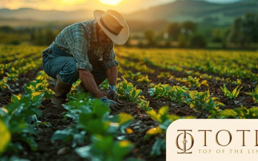 Agrofarming in India 2025 – collaborative farmland investment in Goa and Maharashtra with organic farming and eco-living.